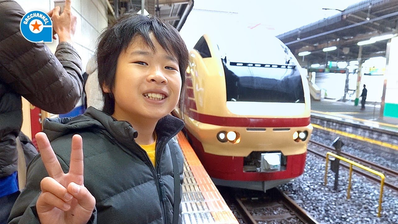 国鉄色 のE653 ‼️ぶらり高尾散策号 に乗りました【がっちゃんの電車で