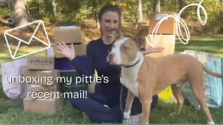 Polo’s BIG Dog Unboxing Haul 🐶📦 New Treats, Toys & Pet Products My Rescue Pittie Loves