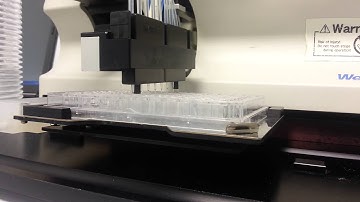 Thermo Matrix Wellmate 8-Channel Microplate Dispenser w/ Laptop Computer [BOSTONIND] -  6218