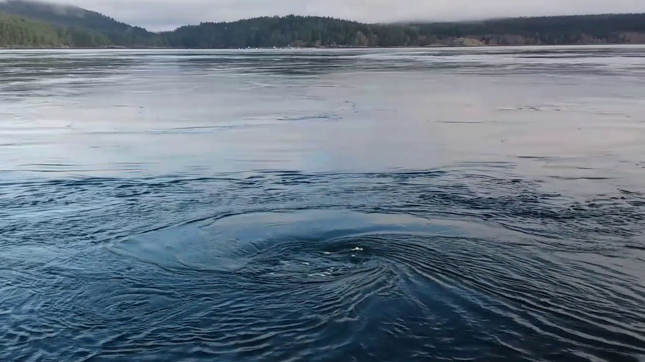 Flying at15.5kt Seymour Narrows GIANT WHIRLPOOLS – Sailing Oka Solo