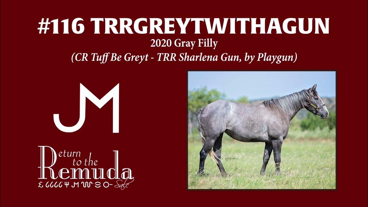 2023 Return to the Remuda Sale Hip 116 TRRGREYTWITHAGUN YouTube