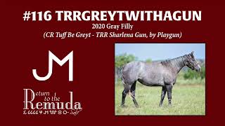2023 Return to the Remuda Sale Hip TRRGREYTWITHAGUN