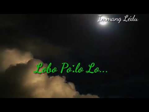 Lobo polo lo new Adi song