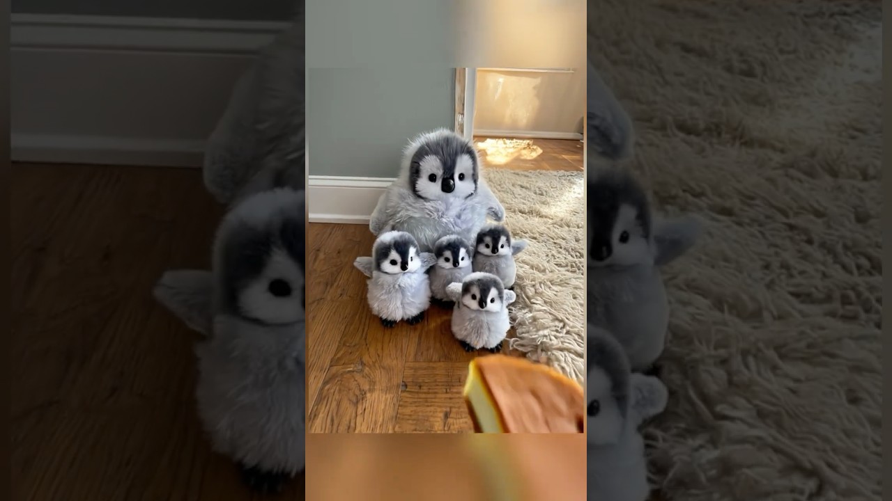 Never seen such a loving penguin family~😊 