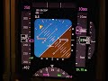 B737 steep turns common error!