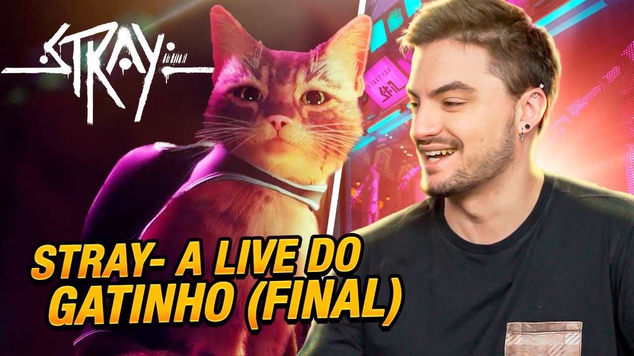 ATENÇÃO: STRAY o Jogo do Gatinho NÃO é o Que Estão dizendo! 