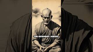 Dewdrop Wisdom: Mindfulness in Each Moment