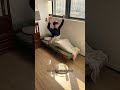 狭い部屋でもOK、 小さく折りたためる単人用ソファベッドで快適空間✨#tiaro #home #furniture #sofa