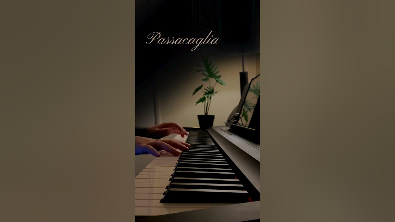 Passacaglia - Handel/Halvorsen #shorts
