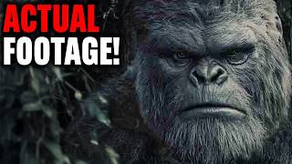 This Man Captures The Clearest Bigfoot Image Ever Recorded