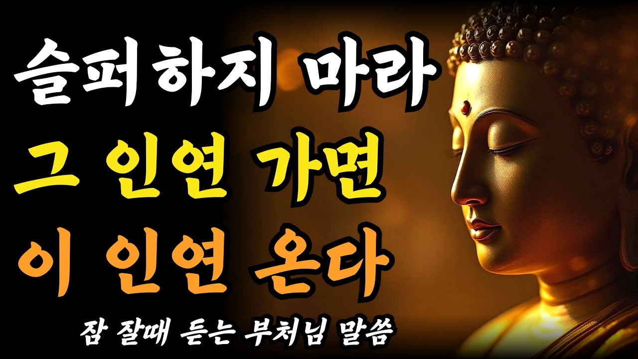 슬퍼하지 마라 그 인연 가면 이 인연이 온다ㅣ새로운 인연을 받아들이는 법ㅣ인간관계 조언ㅣ부처님 말씀ㅣ불교 명언
