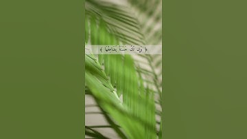 تلاوة ناصر القطامي من سورة النساء | #youtube #quran #reels #edit