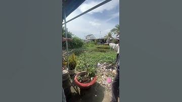 Bán gấp dãy phòng trọ và gần nửa công đất giá chỉ 800tr tại kcn Tân Hương, Tiền Giang #bdstiengiang