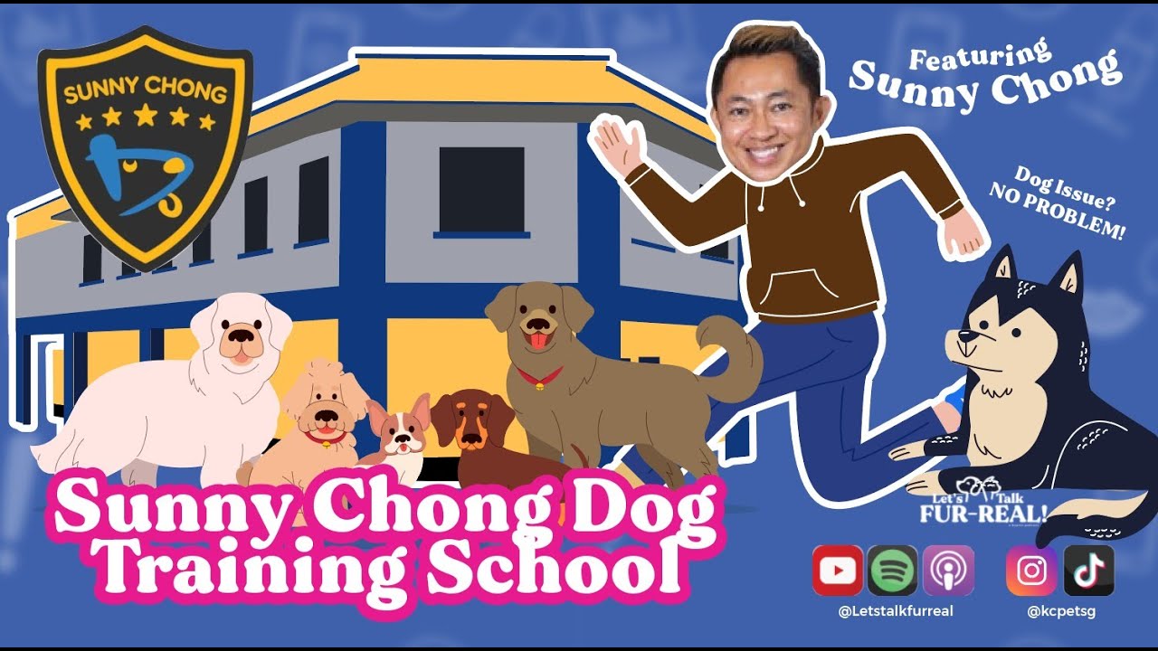 Sunny Chong Dog Training School