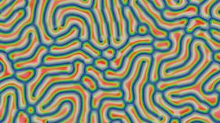 Gray Scott F860 k590 fr399