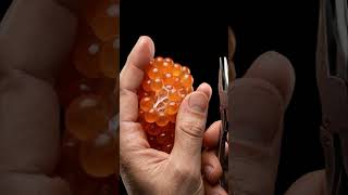 Fish Eggs in Macro #asmr #asmrsounds #macro