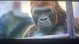 War for the planet of the apes Donkey saves Caesar