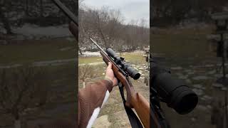 Best Small Caliber Gun .17 Hmr By Browning Resimi
