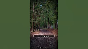 وكان الله غفورا رحيما ومن تاب وعمل صالحا فإنه يتوب إلى الله |سورة الفرقان| بصوت القارئ ابراهيم إدريس