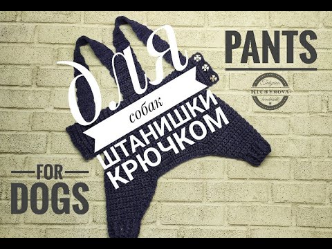 Как связать крючком штанишки для собаки