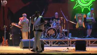 Pitura Stail - Marghera (Live)