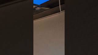 Any Cemar - Ya Me Debería Preparar Para El Stream O Se Me Va Ha Hacer Tarde Otra Vez