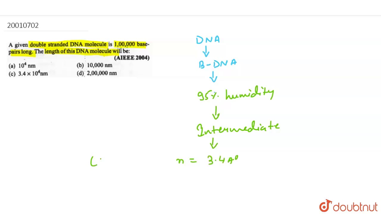 A given double stranded DNA molecule is 10000 basepairs long. The