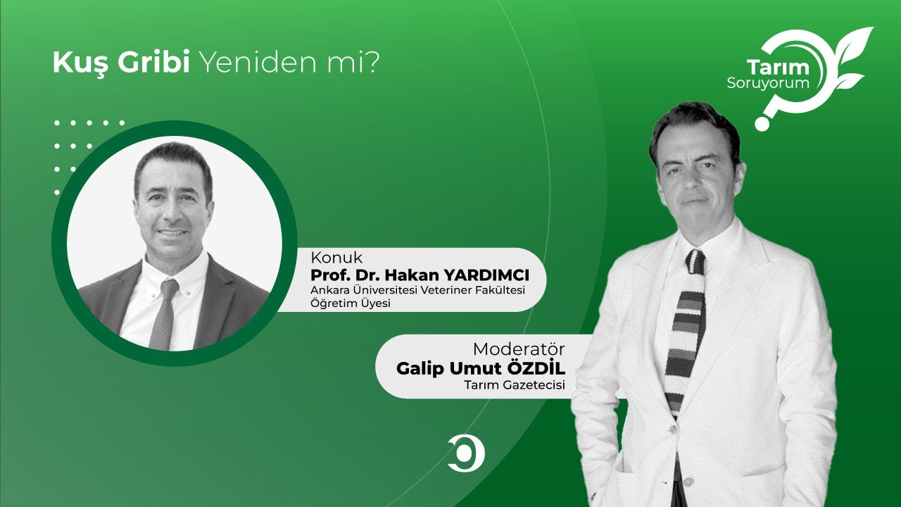 Tarım SoruYorum | Kuş Giribi Yeniden mi?