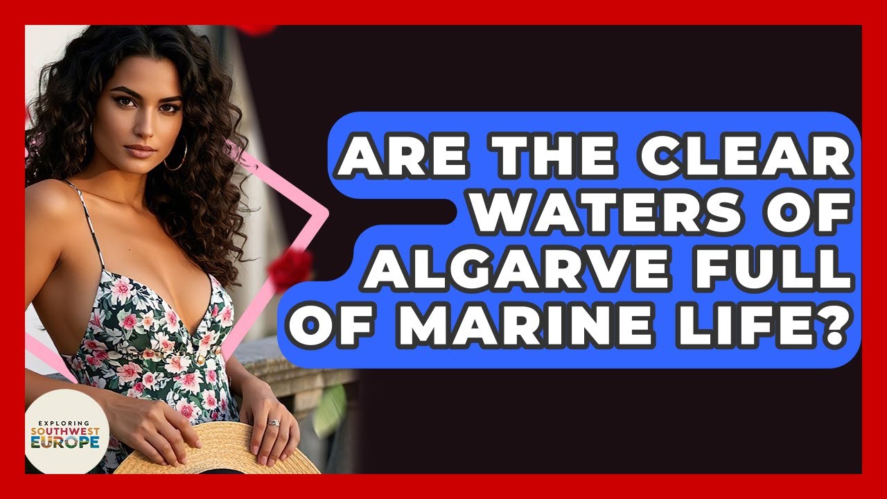 Are The Clear Waters Of Algarve Full Of Marine Life? - Exploring Southwest Europe