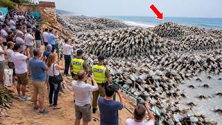 Download lagu 70 Most Unbelievable Moments Ever Caught on Camera #3