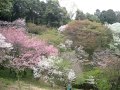 多摩森林科学園 の動画、YouTube動画。