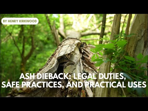 Ash Dieback: Legal Duties, Safe Practices, And Practical Uses