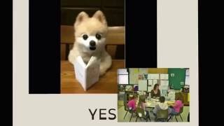 2-5 Library Procedures