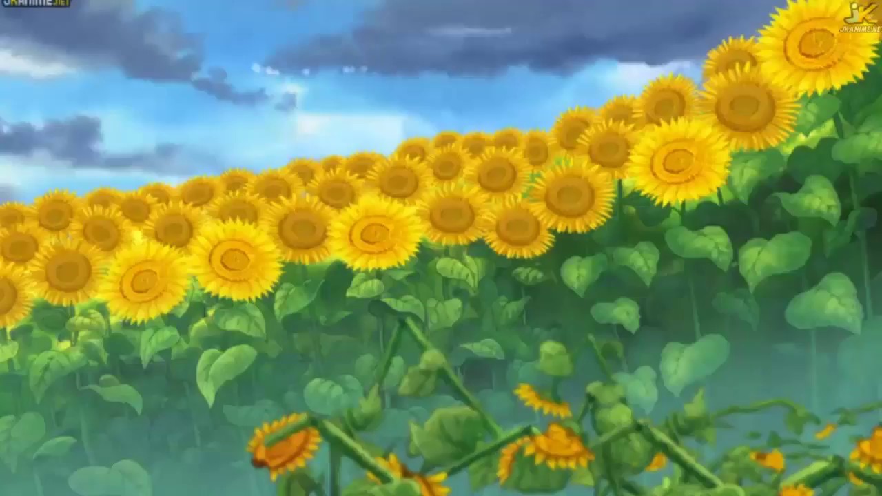 || One Piece || Captura de la Familia Donquixote Frases de One Piece Oficial