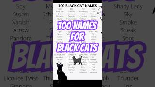100 Best BLACK CAT NAMES for black cats 🐈‍⬛
