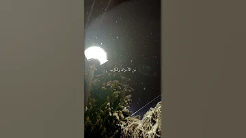 بكى قلبي الى ربي 