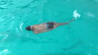 Renang gaya punggung