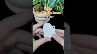 Zigbee Door Sensor Installation & Real-Time Detection Demo for Smart Building Projects
