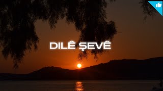 Dılê Şevê Kurdish Folk Baranbeatz