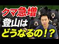 【クマは本当に増えたのか？】熊のニュースが急増している理由と登山者の対策を解説！