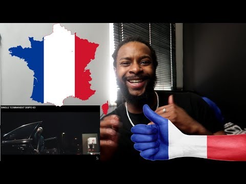 First Reaction to French Rap/Hip hop (UK Edition!!)  -  Niska - Commando (Clip officiel)