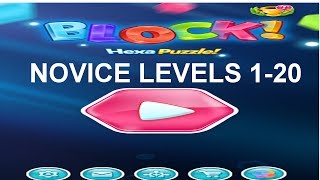BLOCK! Hexa Puzzle! Novice Level 1-20 screenshot 5