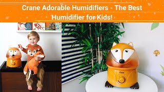 Crane Adorable Humidifiers - The Best Humidifier for Kids!