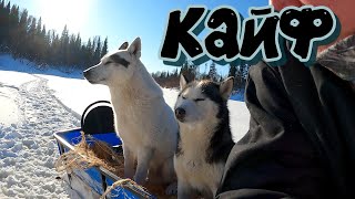 СИЛЬНО УСТАЛИ. УСТАЛОСТЬ В РАДОСТЬ. КАЙФ. ТАЙГА СИБИРИ.