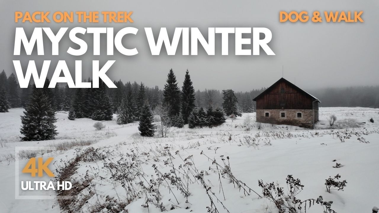 Mystic Winter Walk - Bohemian Forest Winter Walk - Nature Sounds - 4K Ultra HD