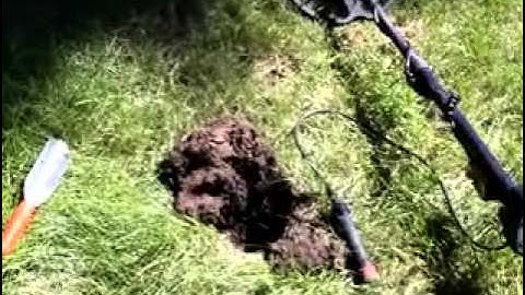 Minelab E-Trac  Episode VI  The sights and sounds of old coins