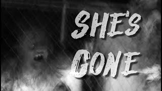 Download Lagu "She's Gone" Download Lagu "She's Gone"