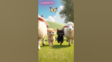 Kittens and Little Lambs Adventure! 😻 #shorts #funny #cute #cat #cartoon #animation #baby