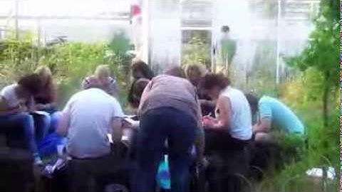 Creativity Quotient ontmoeting 1 het team en 2 passie voor de Piushaven