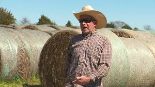 'You have to be able to survive financially:' Diesel prices impacting local farmers